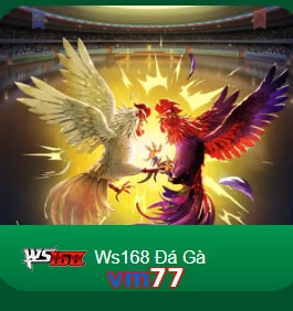 vm77